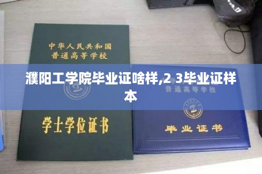 濮阳工学院毕业证啥样,2 3毕业证样本
