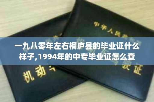 一九八零年左右桐庐县的毕业证什么样子,1994年的中专毕业证怎么查