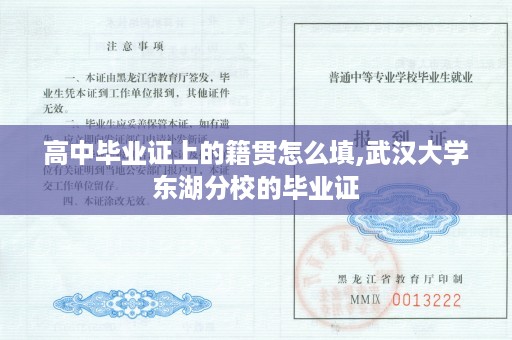 高中毕业证上的籍贯怎么填,武汉大学东湖分校的毕业证