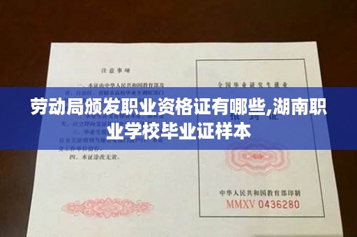 劳动局颁发职业资格证有哪些,湖南职业学校毕业证样本