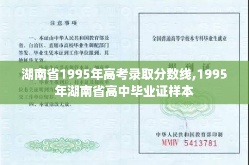 湖南省1995年高考录取分数线,1995年湖南省高中毕业证样本