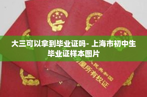 大三可以拿到毕业证吗- 上海市初中生毕业证样本图片