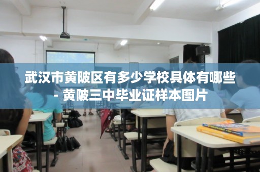 武汉市黄陂区有多少学校具体有哪些- 黄陂三中毕业证样本图片
