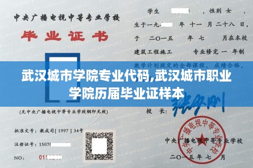 武汉城市学院专业代码,武汉城市职业学院历届毕业证样本