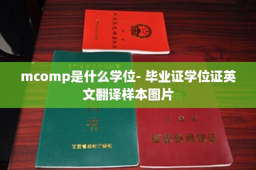 mcomp是什么学位- 毕业证学位证英文翻译样本图片