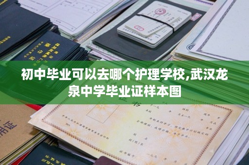 初中毕业可以去哪个护理学校,武汉龙泉中学毕业证样本图