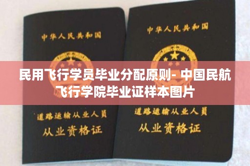 民用飞行学员毕业分配原则- 中国民航飞行学院毕业证样本图片