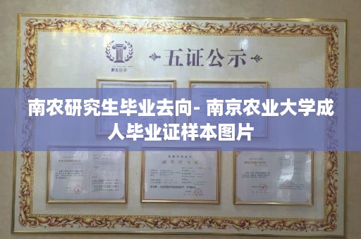 南农研究生毕业去向- 南京农业大学成人毕业证样本图片