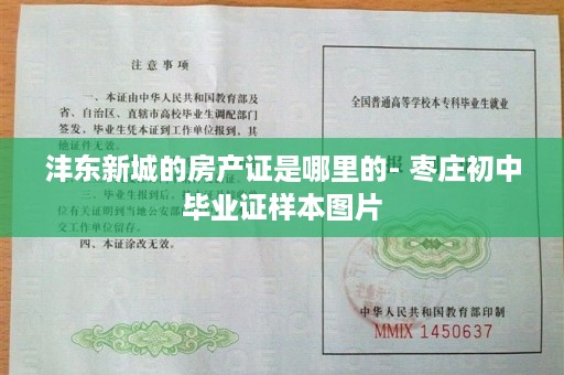 沣东新城的房产证是哪里的- 枣庄初中毕业证样本图片