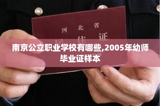 南京公立职业学校有哪些,2005年幼师毕业证样本