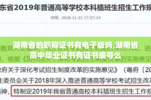 湖南省的职称证书有电子版吗,湖南省高中毕业证书有证书编号么