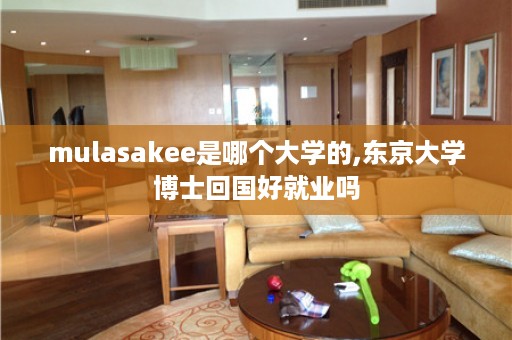 mulasakee是哪个大学的,东京大学博士回国好就业吗