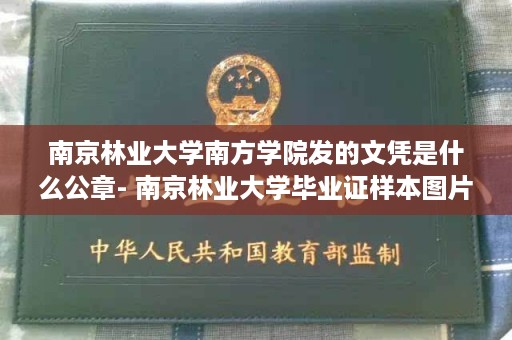 南京林业大学南方学院发的文凭是什么公章- 南京林业大学毕业证样本图片