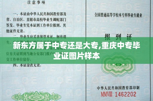 新东方属于中专还是大专,重庆中专毕业证图片样本
