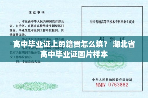 高中毕业证上的籍贯怎么填？ 湖北省高中毕业证图片样本