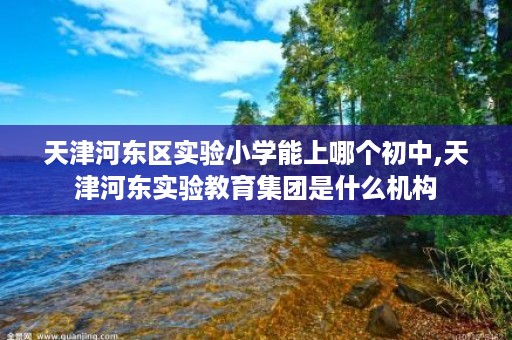 天津河东区实验小学能上哪个初中,天津河东实验教育集团是什么机构