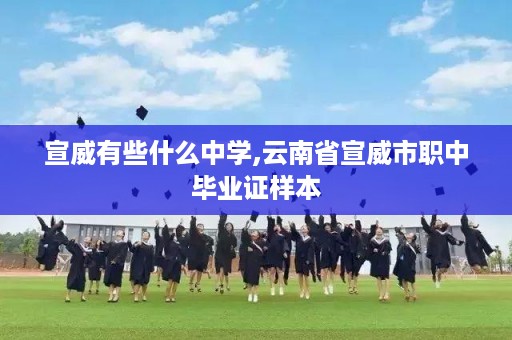 宣威有些什么中学,云南省宣威市职中毕业证样本