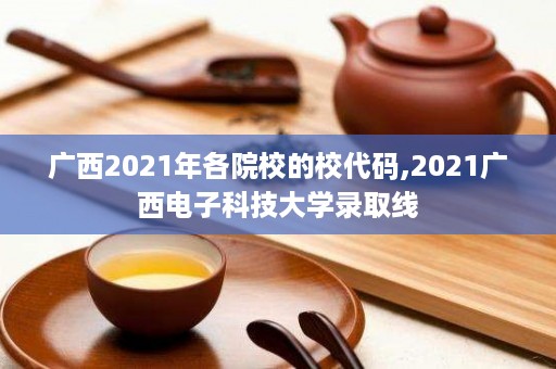 广西2021年各院校的校代码,2021广西电子科技大学录取线