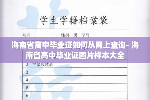 海南省高中毕业证如何从网上查询- 海南省高中毕业证图片样本大全