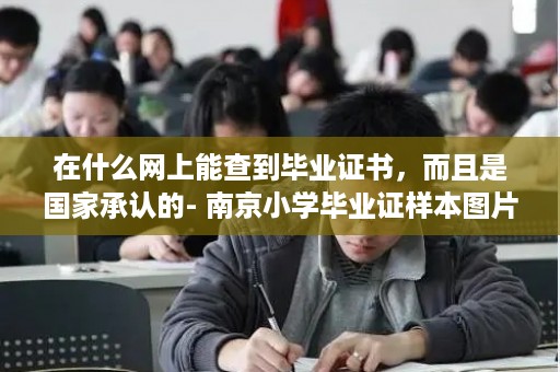 在什么网上能查到毕业证书，而且是国家承认的- 南京小学毕业证样本图片大全