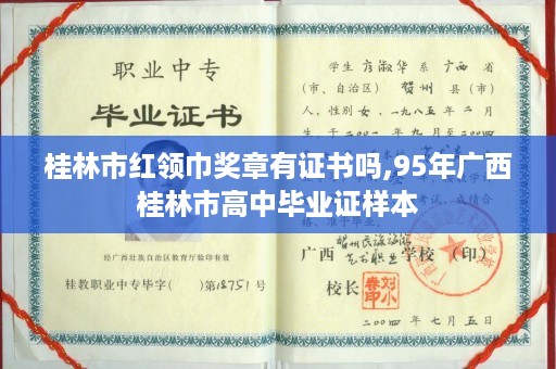 桂林市红领巾奖章有证书吗,95年广西桂林市高中毕业证样本