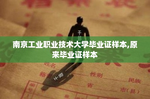 南京工业职业技术大学毕业证样本,原来毕业证样本