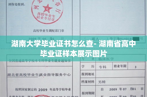 湖南大学毕业证书怎么查- 湖南省高中毕业证样本展示图片