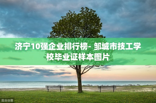 济宁10强企业排行榜- 邹城市技工学校毕业证样本图片