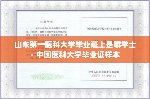 山东第一医科大学毕业证上是嘛学士- 中国医科大学毕业证样本