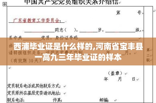 西浦毕业证是什么样的,河南省宝丰县一高九三年毕业证的样本