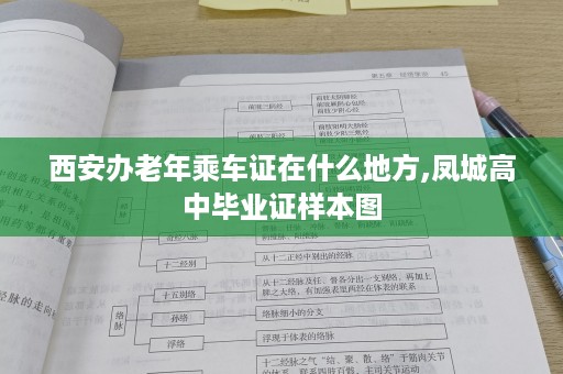 西安办老年乘车证在什么地方,凤城高中毕业证样本图