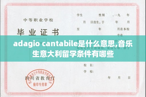 adagio cantabile是什么意思,音乐生意大利留学条件有哪些