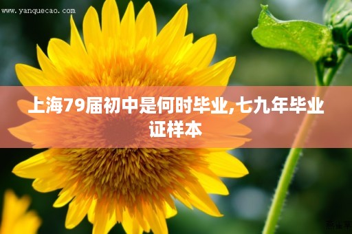 上海79届初中是何时毕业,七九年毕业证样本