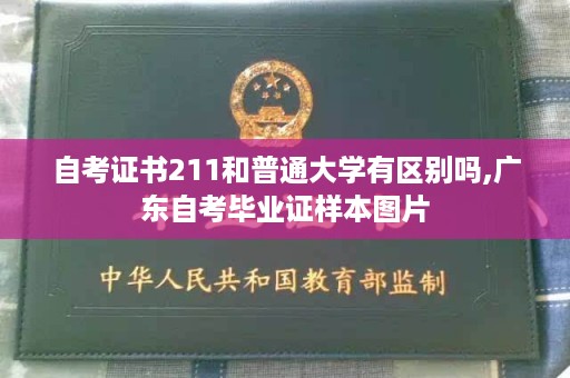 自考证书211和普通大学有区别吗,广东自考毕业证样本图片