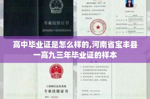高中毕业证是怎么样的,河南省宝丰县一高九三年毕业证的样本