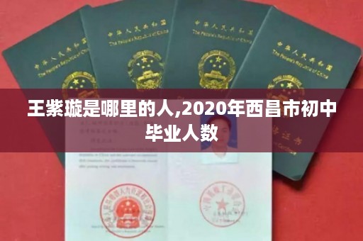王紫璇是哪里的人,2020年西昌市初中毕业人数