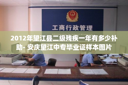 2012年望江县二级残疾一年有多少补助- 安庆望江中专毕业证样本图片