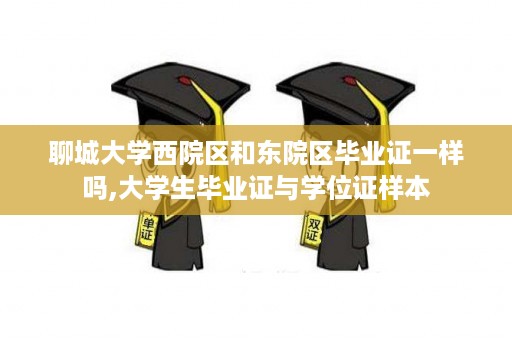 聊城大学西院区和东院区毕业证一样吗,大学生毕业证与学位证样本