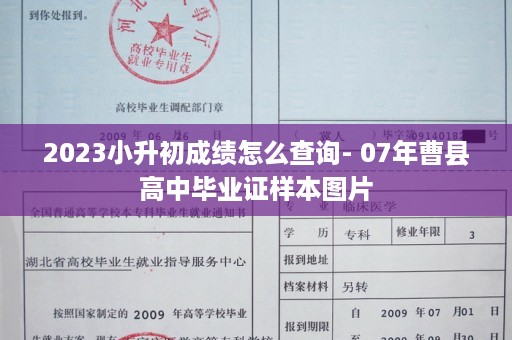 2023小升初成绩怎么查询- 07年曹县高中毕业证样本图片