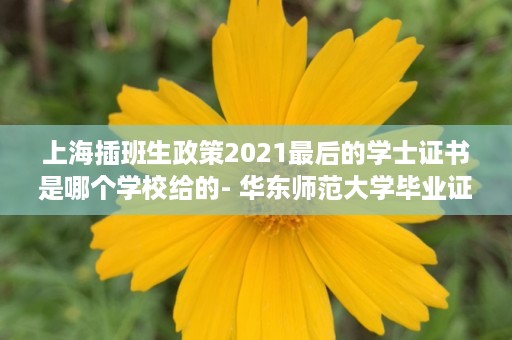 上海插班生政策2021最后的学士证书是哪个学校给的- 华东师范大学毕业证样本图片大全