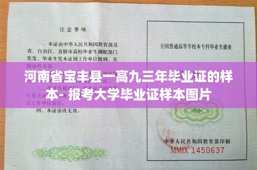 河南省宝丰县一高九三年毕业证的样本- 报考大学毕业证样本图片