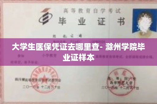 大学生医保凭证去哪里查- 滁州学院毕业证样本