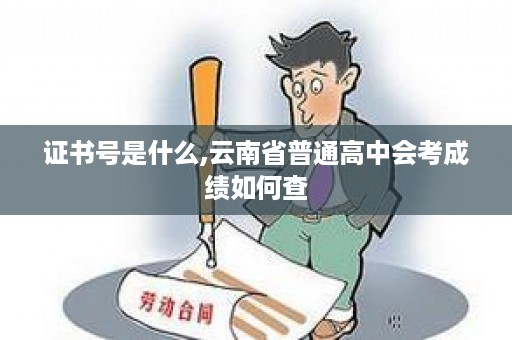 证书号是什么,云南省普通高中会考成绩如何查