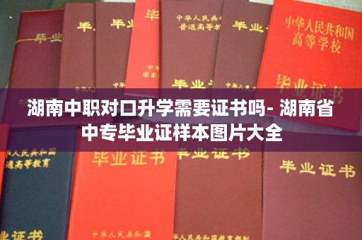 湖南中职对口升学需要证书吗- 湖南省中专毕业证样本图片大全