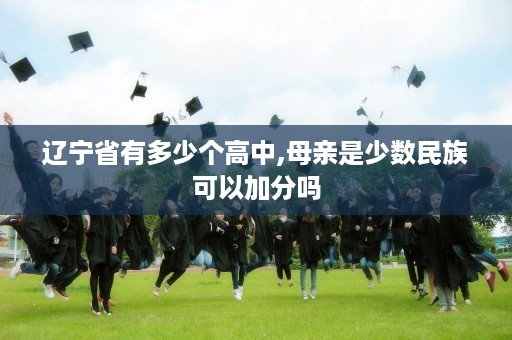 辽宁省有多少个高中,母亲是少数民族可以加分吗