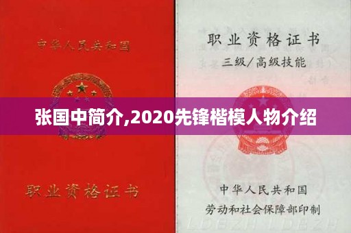 张国中简介,2020先锋楷模人物介绍