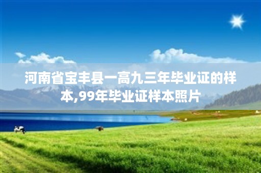 河南省宝丰县一高九三年毕业证的样本,99年毕业证样本照片