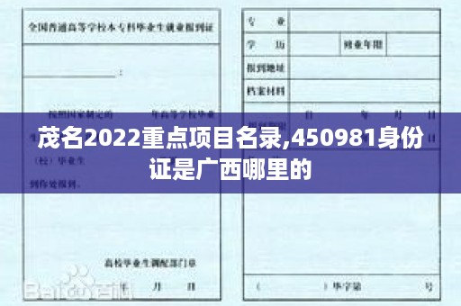 茂名2022重点项目名录,450981身份证是广西哪里的