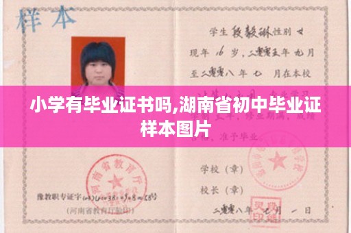 小学有毕业证书吗,湖南省初中毕业证样本图片