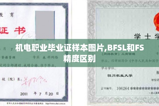 机电职业毕业证样本图片,BFSL和FS精度区别